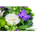 Kytice fialových květů